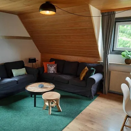 Spacious In Rattlar With Private Terrace Willingen (Upland)